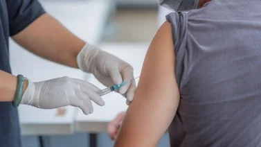 SARS-CoV-2 genera anticuerpos que perduran entre los 6 y 12 meses después del contagio