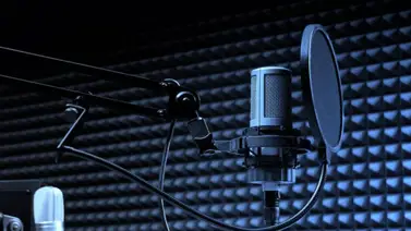 Se celebra el Día Internacional del Doblaje Se celebra el Día Internacional del Doblaje