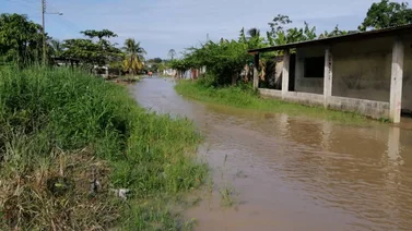 Crecida del Río Sarare deja incomunicadas varias zonas de Apure (+Video)