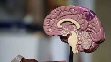 Día Internacional de los Tumores Cerebrales