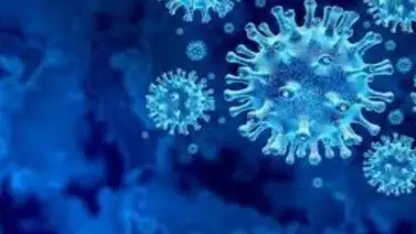 Científicos identifican posible nuevo tratamiento antiviral contra la COVID-19 Científicos identifican posible nuevo tratamiento antiviral contra la COVID-19