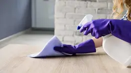 Consigue una casa libre de polvo