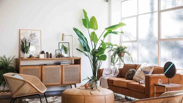 Mimbre y ratán, dueños del estilo interior