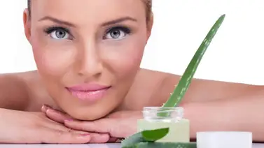 Tres productos de cosmética hechos con sábila Tres productos de cosmética hechos con sábila