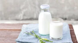 1 de junio se celebra el Día Mundial de la Leche