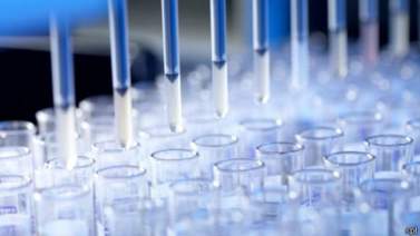 Hongo causa alta mortalidad en personas con VIH en la Amazonia brasileña