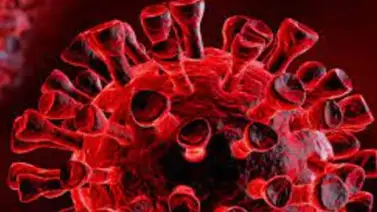 Países evaluarán si hace falta una convención internacional sobre pandemias Países evaluarán si hace falta una convención internacional sobre pandemias