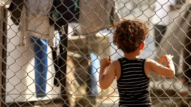 Madre y niño abandonado en la frontera se reúnen en Texas
