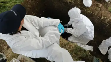 Recuperan 43 cuerpos de posibles víctimas del conflicto armado Recuperan 43 cuerpos de posibles víctimas del conflicto armado