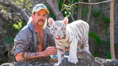 Retiran a último felino del Tiger King Park de Oklahoma