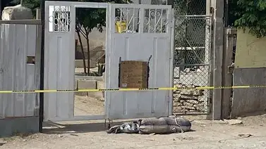 Amenazan a candidata mexicana simulando dejar un cadáver frente a su casa Amenazan a candidata mexicana simulando dejar un cadáver frente a su casa