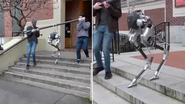Enseñan a robot "ciego" diseñado en EEUU a subir escaleras (+Video) Enseñan a robot "ciego" diseñado en EEUU a subir escaleras (+Video)
