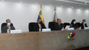 CNE: 60% de los legisladores y alcaldes serán elegidos por lista