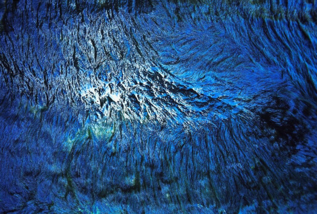 “Veredas del arte” exposición virtual en 3D