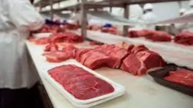 Argentina cierra por 30 días las exportaciones de carne para frenar inflación Argentina cierra por 30 días las exportaciones de carne para frenar inflación