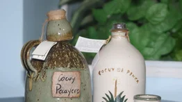 Descubre el verdadero cocuy pecayero
