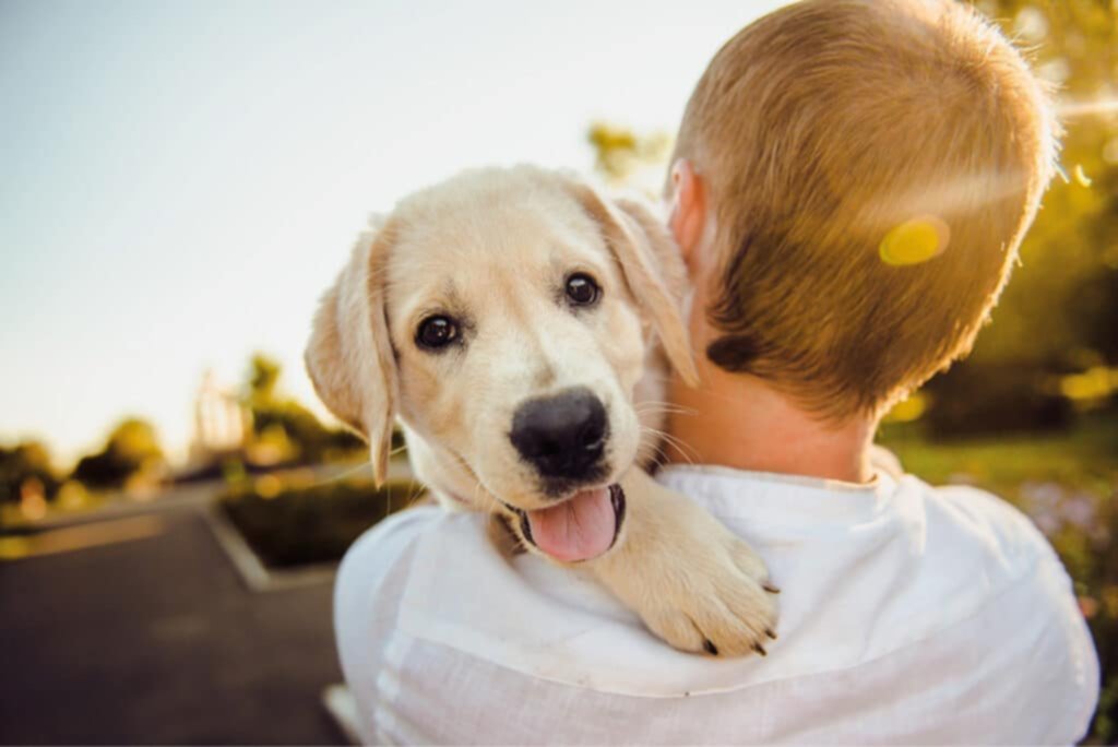 ¿Estás preparado para adquirir una mascota? ¿Estás preparado para adquirir una mascota?