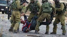 Fallecen ocho palestinos tras enfrentamientos con Ejército israelí (+Vídeo)