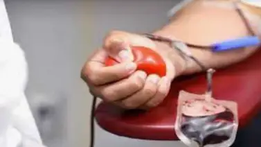 Renuncias de bioanalistas por bajos salarios afecta bancos de sangre Renuncias de bioanalistas por bajos salarios afecta bancos de sangre