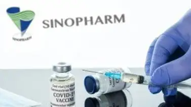 OMS recomienda administrar vacuna Sinopharm con 3 semanas de intervalo OMS recomienda administrar vacuna Sinopharm con 3 semanas de intervalo