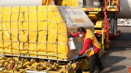 México recibe un nuevo lote de 250 mil vacunas de Pfizer contra el COVID-19