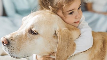 Mascotas pasan las de "Caín" por falta de presupuesto familiar
