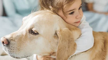 Mascotas pasan las de "Caín" por falta de presupuesto familiar