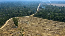 Crece la deforestación de la Amazonía brasileña