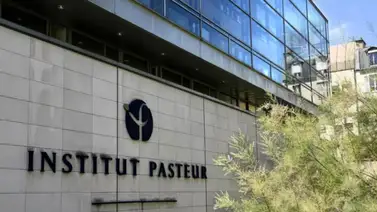 El Pasteur avanza en el desarrollo de vacuna nasal contra la COVID El Pasteur avanza en el desarrollo de vacuna nasal contra la COVID