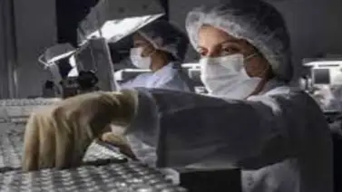 OMS admite su lenta respuesta ante la COVID en los primeros meses de pandemia OMS admite su lenta respuesta ante la COVID en los primeros meses de pandemia