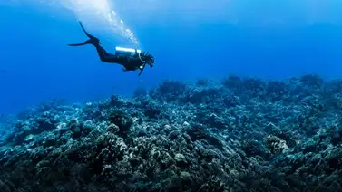 Ingeniero logra un récord tras descender 10.706 metros de profundidad en el Océano Pacífico Ingeniero logra un récord tras descender 10.706 metros de profundidad en el Océano Pacífico