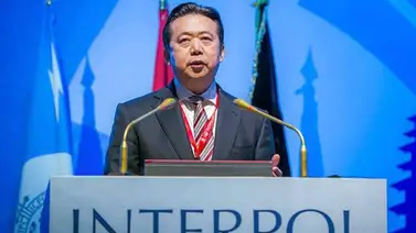 Interpol muestra su primer proyecto contra la piratería digital Interpol muestra su primer proyecto contra la piratería digital
