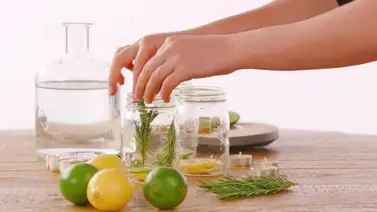 Soluciones caseras para ahuyentar los zancudos Soluciones caseras para ahuyentar los zancudos