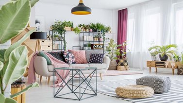 Embellece tu hogar con plantas de interior
