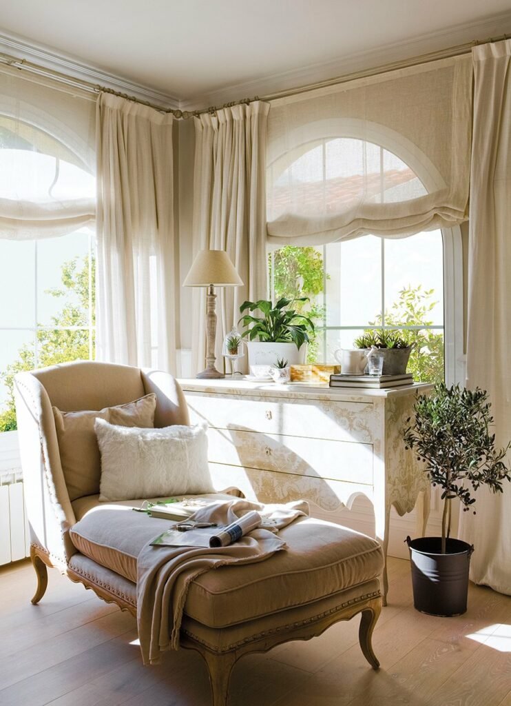 Embellece tu hogar con plantas de interior Embellece tu hogar con plantas de interior