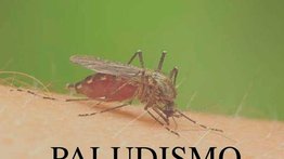 25 de abril: Día Mundial del Paludismo