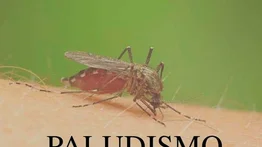 25 de abril: Día Mundial del Paludismo