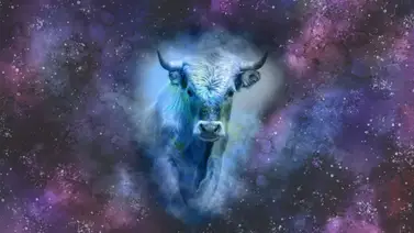 La influencia del signo Tauro y su gran constancia La influencia del signo Tauro y su gran constancia