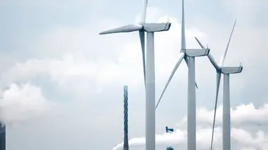 Brasil buscará la neutralidad de carbono hasta 2050 Brasil buscará la neutralidad de carbono hasta 2050