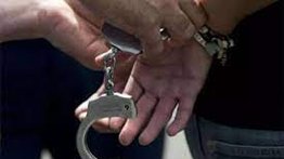 Detienen a un hombre por matar a un gato en Portuguesa