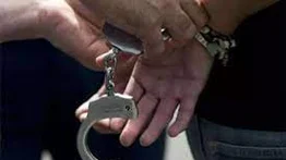 Detienen a un hombre por matar a un gato en Portuguesa