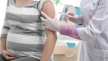 Confirman que vacunación contra COVID-19 en embarazo es segura Confirman que vacunación contra COVID-19 en embarazo es segura