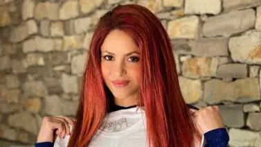 Shakira defraudó por 17.4 millones dólares, según Hacienda española Shakira defraudó por 17.4 millones dólares, según Hacienda española