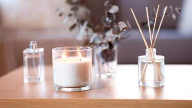 Elimina los malos olores de tu baño