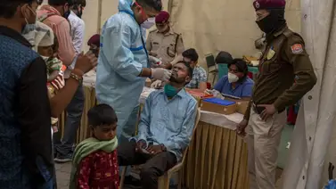 La prueba PCR no detecta la variante india del coronavirus, según expertos La prueba PCR no detecta la variante india del coronavirus, según expertos