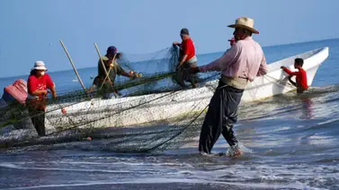 Min-Pesca reporta aumento en la producción de sardinas Min-Pesca reporta aumento en la producción de sardinas