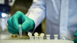 Alemania mantendrá apuesta por diferentes vacunas contra el coronavirus
