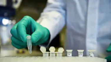 Alemania mantendrá apuesta por diferentes vacunas contra el coronavirus Alemania mantendrá apuesta por diferentes vacunas contra el coronavirus