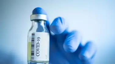 México aprobará su vacuna contra la COVID entre noviembre y diciembre México aprobará su vacuna contra la COVID entre noviembre y diciembre