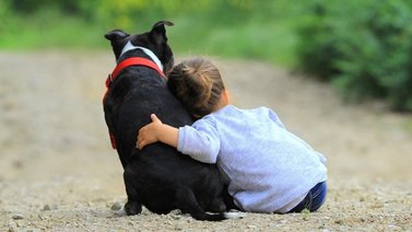 Animales para tratar TDAH y síndrome de Down